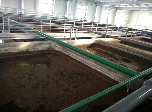 屠宰污水處理一體化設備